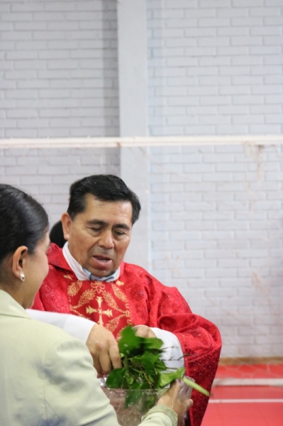 Celebración de Ramos